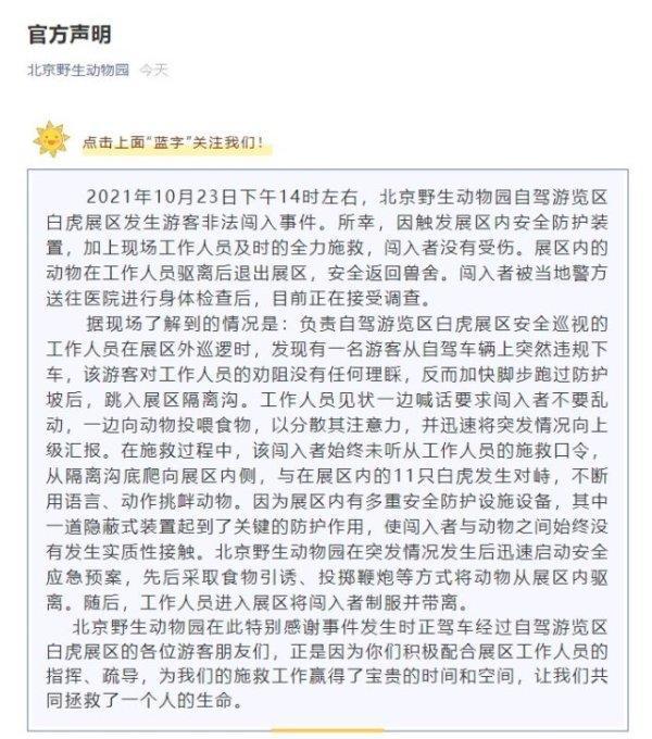 虎群对峙事件官方通告